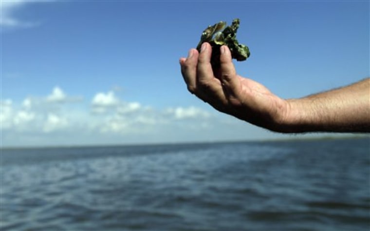 FILE - In this June 27, 2010 file photo, Plaquemines Parish Costal Zone Director P.J. Hahn holds an empty oyster shell in bay waters east of Pointe a la Hache, La. Now, the upcoming oyster harvesting season may be lost because of high mortality rates in several coastal reefs due to fresh water that poured in when spillways were opened to take pressure off Mississippi River levees earlier this summer. (AP Photo/Gregory Bull, File)